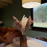 Lesna Osada Na Kaszubach - Drewniane Na Wynajem