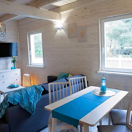 Lesna Osada Na Kaszubach - Drewniane Na Wynajem Tatil Evi
