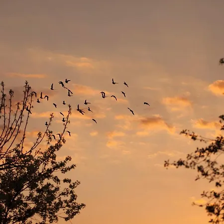 Lesna Osada Na Kaszubach - Drewniane Na Wynajem *