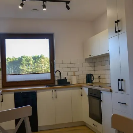 Lesna Osada Na Kaszubach - Drewniane Na Wynajem