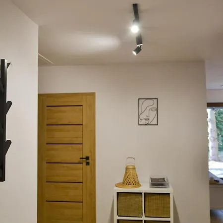 Lesna Osada Na Kaszubach - Drewniane Na Wynajem Ferienhaus