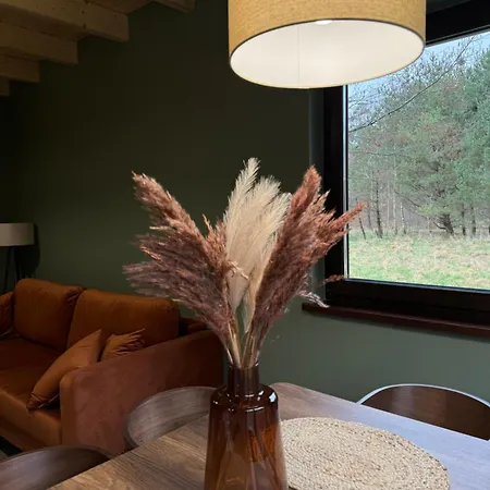 Lesna Osada Na Kaszubach - Drewniane Na Wynajem