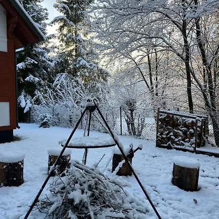 Lesna Osada Na Kaszubach - Drewniane Na Wynajem *